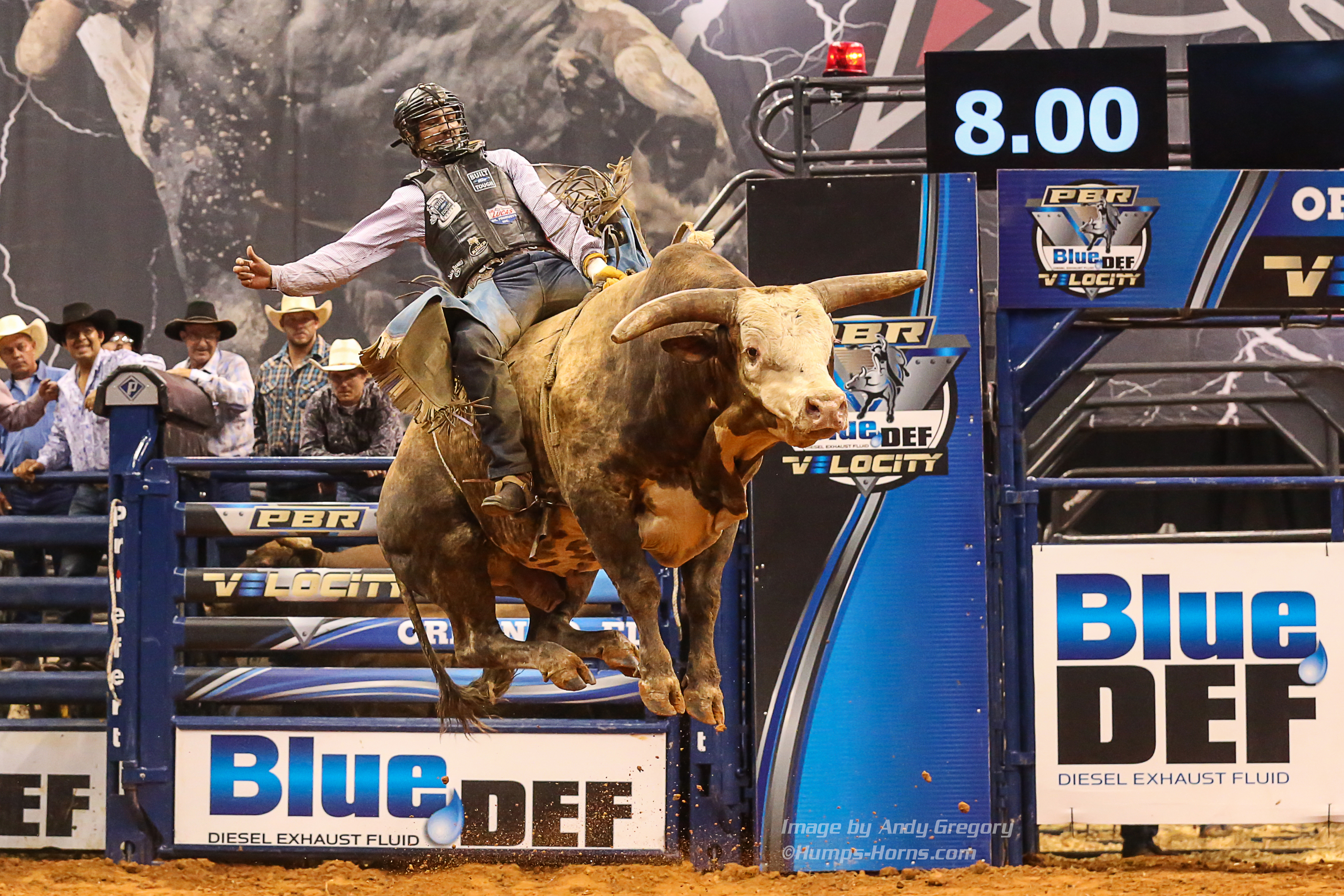 how much does a professional bull rider make